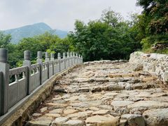 -阳台山自然风景区