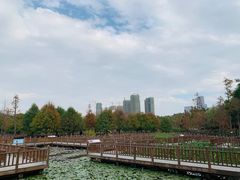 -五缘湾湿地公园