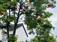 -浏河古镇