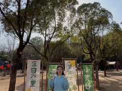 -中国西峡恐龙遗迹园