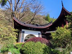 -十八棵（老龙井）御茶园(老龙井店)