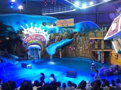 -烟台海昌鲸鲨海洋公园