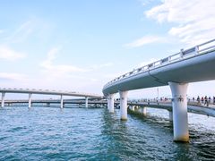 -演武大桥观景平台