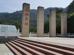 -铁山坪森林公园