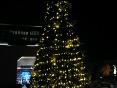 -上海崇明金茂凯悦酒店