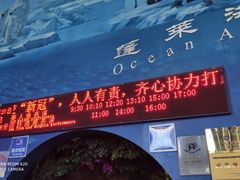 -蓬莱欧乐堡海洋极地世界