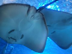 -太平洋海底世界