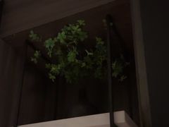-华夏良子·足道SPA艾灸(金皇大厦店)