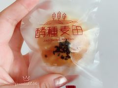 芝士蛋黄酥-酵種麦田(山师店)