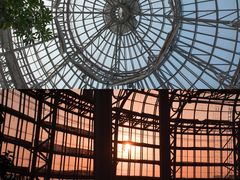 -郑州植物园