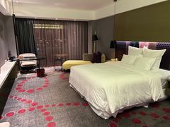 -南京禄口机场雅高铂尔曼大酒店