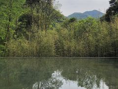 -宁海安岚·南溪阁全日餐厅