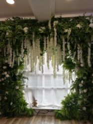 -星豆豆儿童摄影(南郊太白南路店)