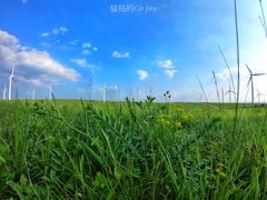 -塞罕坝国家级自然保护区