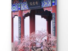 -梅花山(明孝陵内)