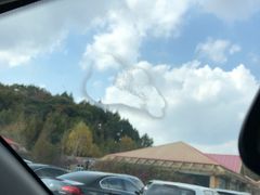 -哈尔滨北方森林动物园