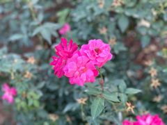 -人民公园(罗湖区)