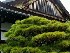 -京都御所