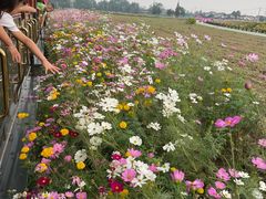 -桤木河湿地公园