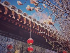 -三里河公园