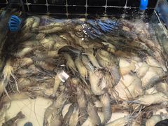 -川骄海鲜自助(亚运村店)