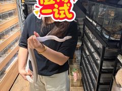 -酷以爬仙阁实体爬宠店·守宫·蜥蜴·专业繁育