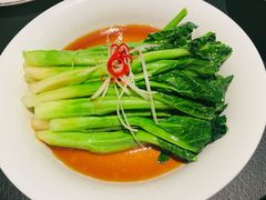 -茶人村(上海店)