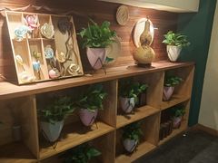 -梧桐树下(云锦世家店)