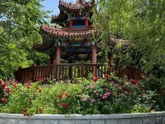 -大连植物园