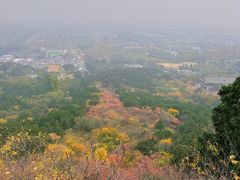 -北京西山国家森林公园