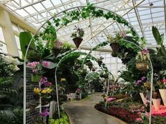 -石家庄市植物园