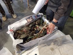 -瑞丽活螃蟹(芒市店)