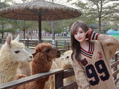 -盈香心动乐园