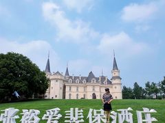 -北京张裕爱斐堡酒庄
