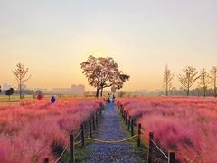 -汉长安城未央宫国家考古遗址公园