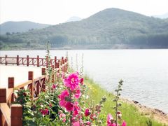-松月湖大酒店