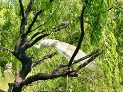 -J Create城市露营咖啡·简餐·宠物(上海动物园店)