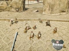 -哈尔滨北方森林动物园