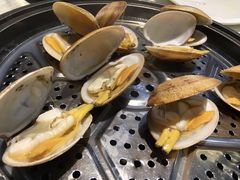-越百海海鲜蒸锅(乐山店)