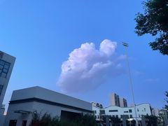 -合肥野生动物园