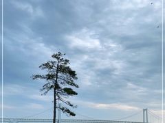 -天顺渔港·海景餐厅(星海广场店)