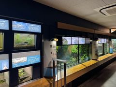 -井之头恩赐公园