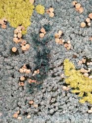 -星豆豆儿童摄影(南郊太白南路店)