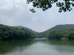-白马涧龙池景区