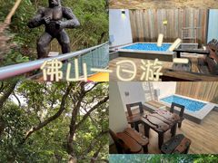 -南丹山森林王国