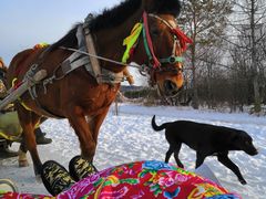 -北极村旅游风景区
