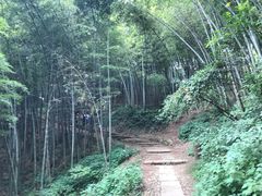-西湖风景区十里琅珰-五云山