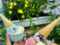 -苏小糖(鼓浪屿三丘田花园店)