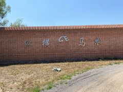 -北京群众马术培训基地