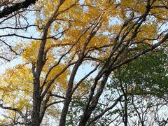 -野三坡百草畔景区